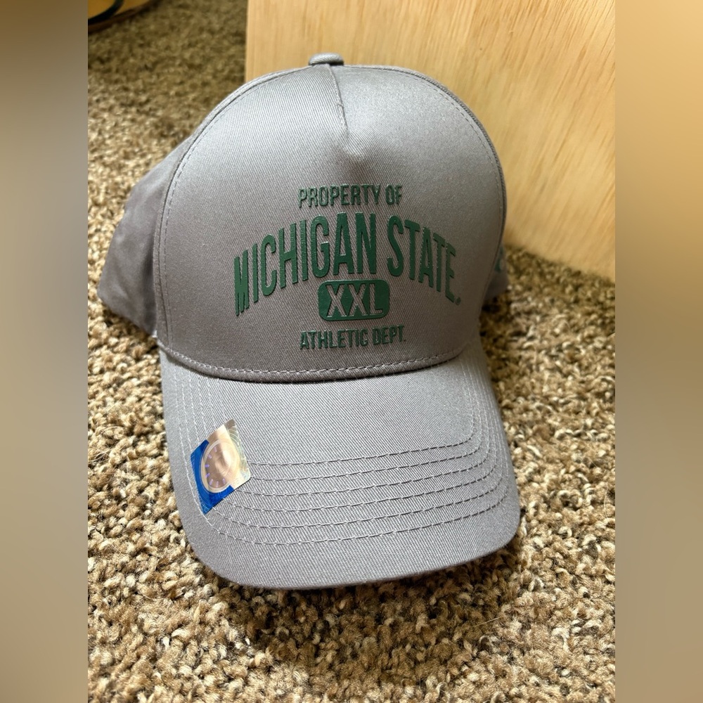 Gray Michigan State Cap